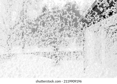 A Snowy Window, Wet Clusters During A Blizzard. View From The Indoor, Covered Glass On The Outside. Background Throughout A Garden. BW.