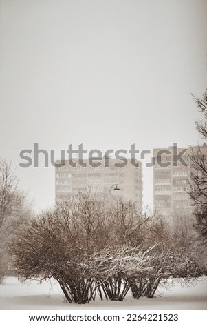 Similar – Foto Bild 689-681 Haus Fenster Stadt