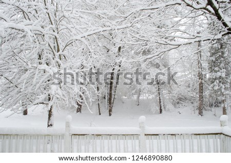 Snowy winter back yard looking out over porch deck railing to snow covered tree branches at edge of woods forest.
