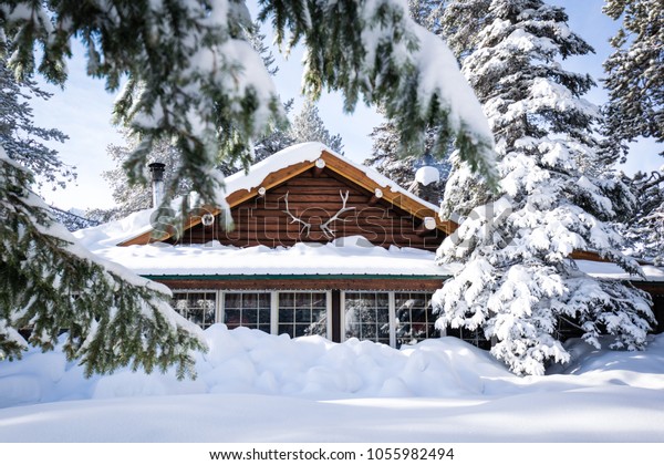 Snowy Winter Cabin Woods Trees Stock Photo Edit Now 1055982494