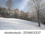 Snowy winter day in East Tennessee.  Blue skys and fresh fallen snow on the trees and hillside.