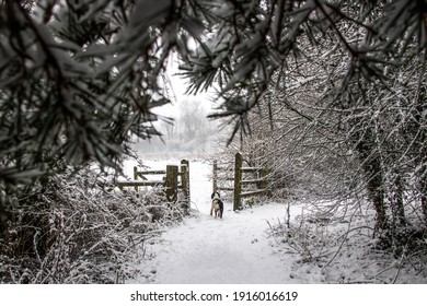 Snowy Winter in England, UK