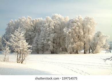 Snowy winter forest fairy