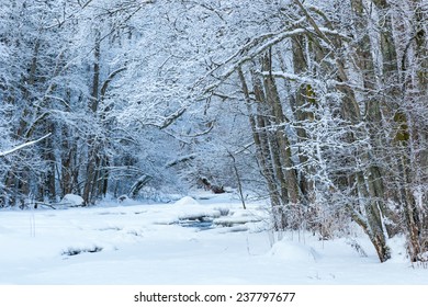 winter scenery layouts