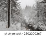 Snowy winter forest. View of a forest stream among trees and bushes covered with snow. Cold snowy weather. Heavy snowfall in the forest. Beautiful northern nature. Magnificent winter landscape.