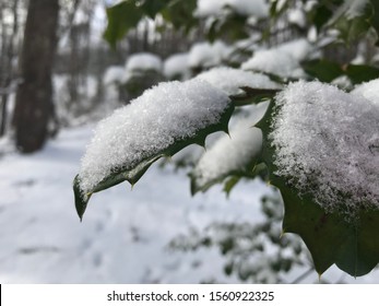 Snowy Winter In Gatlinburg, Tennessee