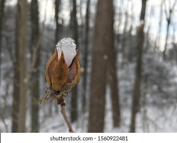 Snowy Winter In Gatlinburg, Tennessee