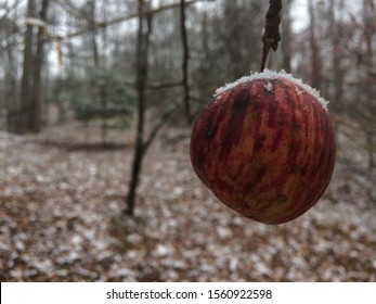 Snowy Winter In Gatlinburg, Tennessee