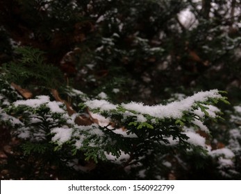 Snowy Winter In Gatlinburg, Tennessee