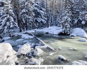 Snowy Winter Hike in teh Adirondacks - Powered by Shutterstock