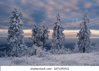 Snowy Winter Landscape In The Evening Light On The Großer Feldberg - Germany In The Taunus