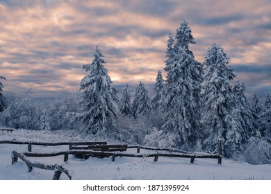 Snowy Winter Landscape In The Evening Light On The Großer Feldberg - Germany In The Taunus