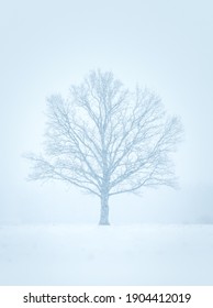 Snowy Winter Landscape With Forest Covered In Snow. Snowy Tree Tops. White Scenic Countryside.
