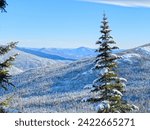 A snowy and winter landscape of the White Mountains of New Hampshire from the side of Mt. Washington looking south at the other 4000 footers. Pine trees and snow covered ridge fill the landscape view.