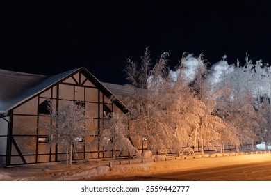 Snowy winter night scene with illuminated streetlights, frost-covered trees and building on the side. Peaceful, cold and serene winter atmosphere. Cozy cottage in countryside - Powered by Shutterstock