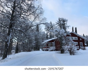 Snowy Winter In A Nordic Forest