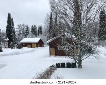 Snowy Winter In A Nordic Forest