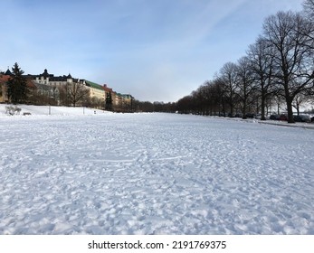 Snowy Winter In A Nordic Forest