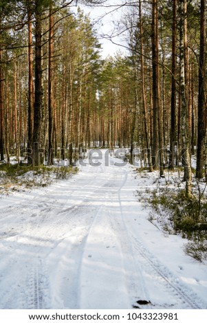 snowy winter road covered in deep snow with car tire tracks going in random directions