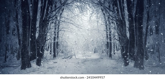 snowy winter road, fantasy forest landscape - Powered by Shutterstock