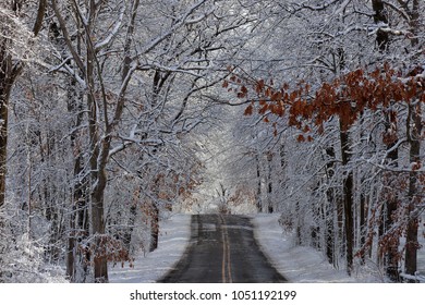 Snowy Winter Road At Kensington Metropark In Michigan USA