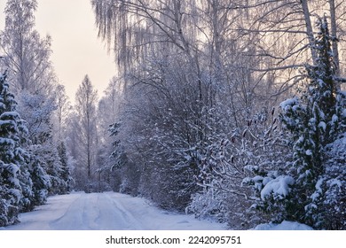 Snowy winter road in a mountain forest. Beautiful winter landscape. High quality photo