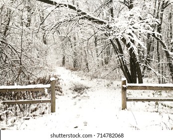 Snowy Winter Scene With Wooden Fence And Path