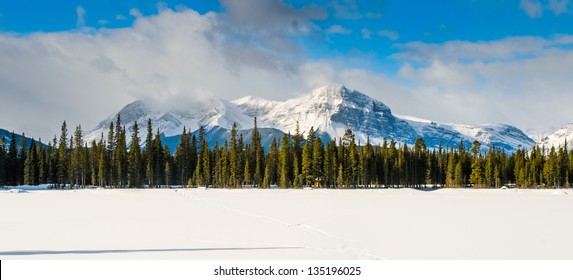 Snowy winter scenery in the Canadian Rocky Mountains - Kananaskis Country Alberta Canada