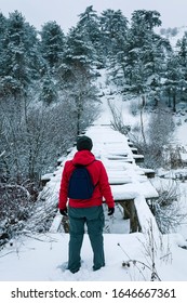 Snowy Winter Season And Man In Red Coat Is Walking