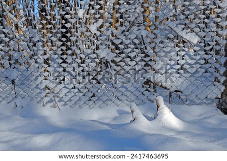 Similar – Image, Stock Photo Snow-covered wire mesh fence