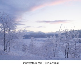 A Snowy Yukon Winter Landscape