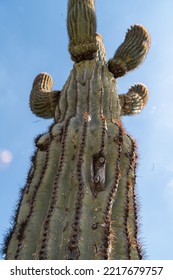 Soaking Up The Arizona Sun