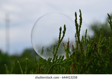 Soap bubble