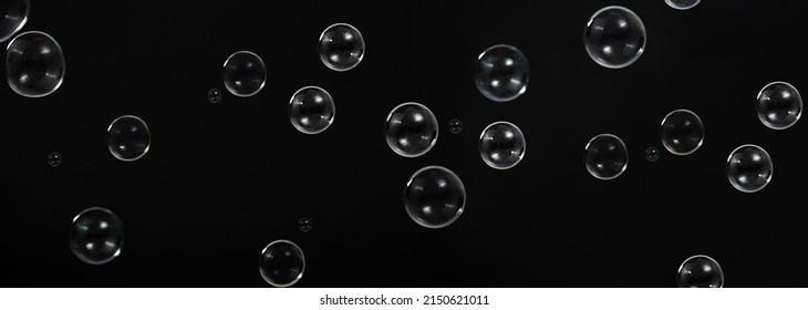 Soap bubble drop or Shampoo bubbles floating like flying in the air black background which represent refreshing moments and gentle soft. Bubbles drops for soap  shampoo or detergent product industry.