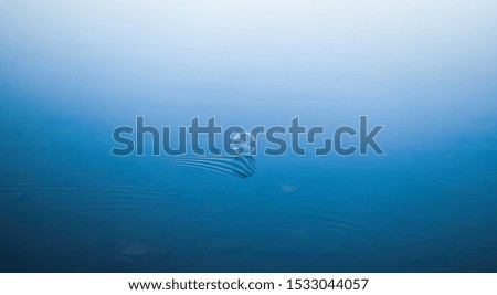 Similar – fog lake Calm Nature Water