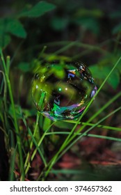 Soap bubble on grass background