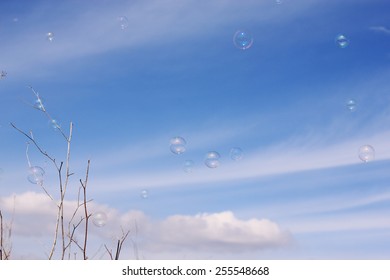 Soap bubbles floating in the air