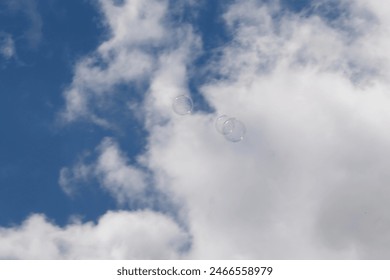 soap bubbles flying in the cloudy sky