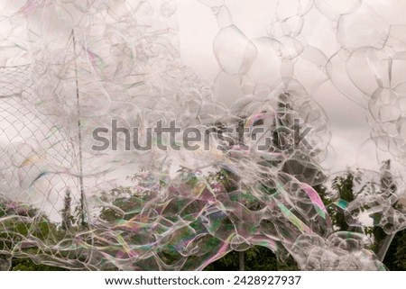 Similar – Bonsai hinter einer beschlagenen Glasscheibe