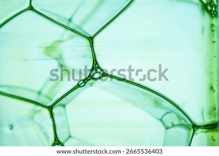 Soap bubbles interconnected, showcasing intricate patterns and a green hue, conveying a clean and fragile aesthetic ideal for science.