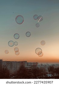 Soap bubbles on the background of the sunset.