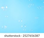 Soap bubbles on a colored background