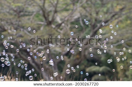 Similar – Foto Bild Blick durchs Fenster nach dem Regen