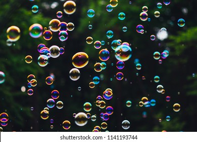 soap bubbles on green nature background - Shutterstock ID 1141193744