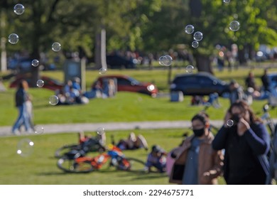 Soap bubbles in the park