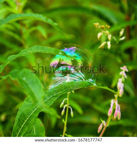 Soapbubble on leaf with reflection