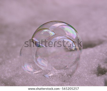 Soapbubbles In The Snow