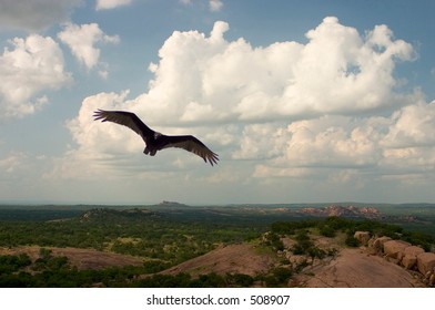 Soaring