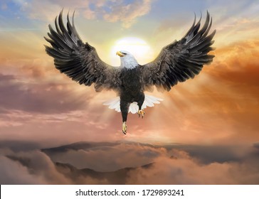 Soaring Eagle Of Freedom Under Beautiful Sky In The Sunrise Of Faith