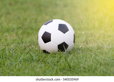 368,509 Football on green grass Images, Stock Photos & Vectors ...